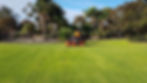 Lawn Maintenance