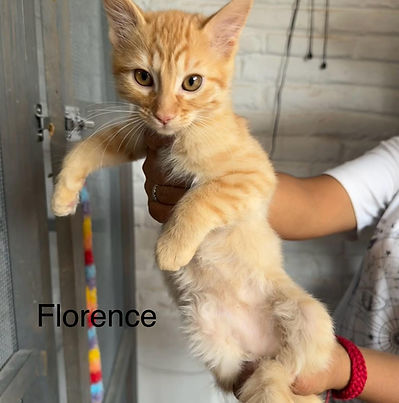 Florence