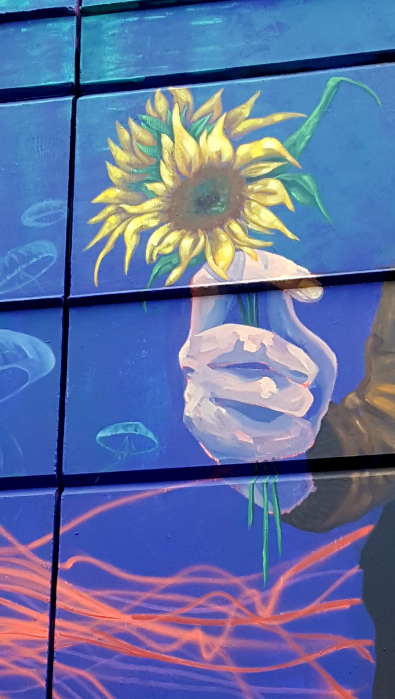 sunflowers