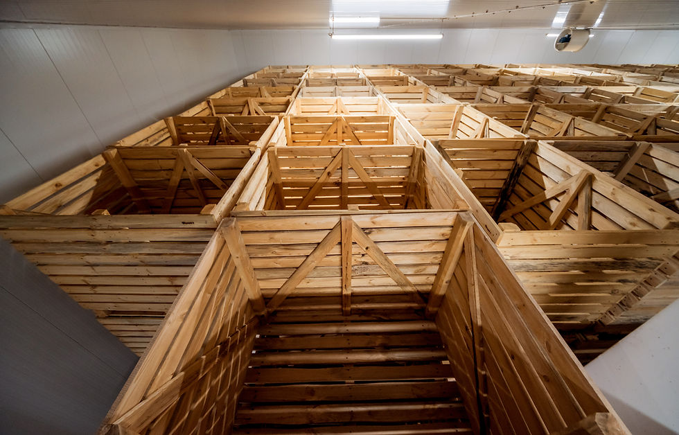 Empty Industrial Freezer Warehouse for Vegetables.jpg
