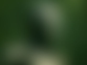 Is AI the new Greenwashing?