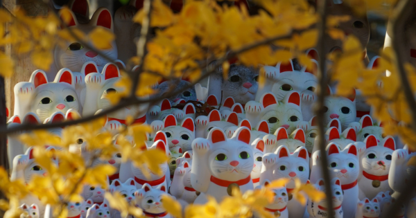 Many red and white Maneki Neko cat statues, the good fortune cats of Japan.
