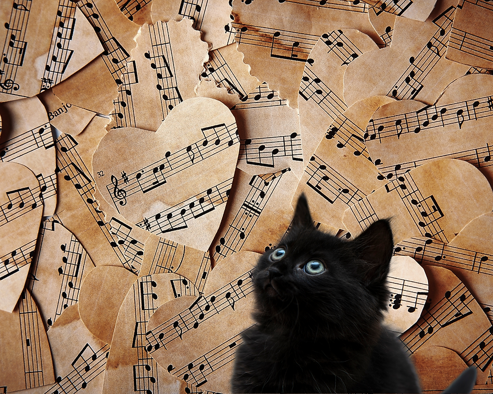 Black cat in front of heart-shaped musical score sheets. 