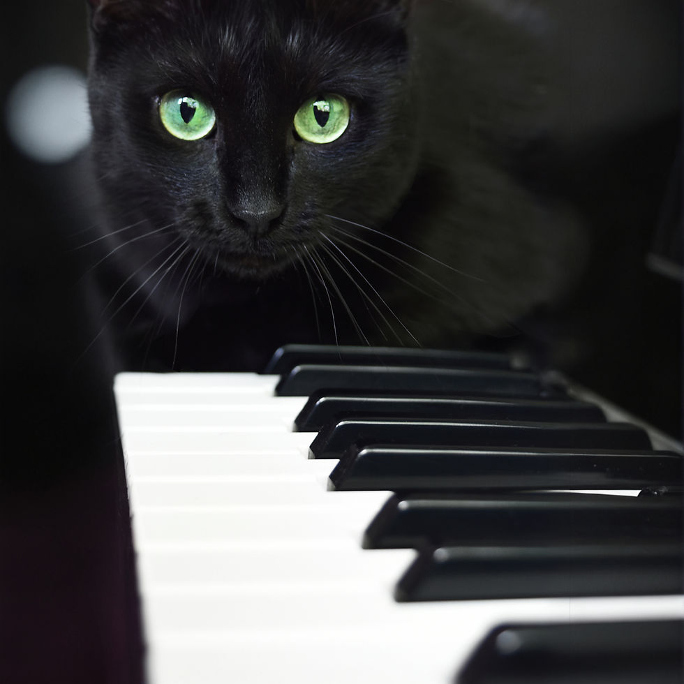Green-eyed black cat looking across a piano keyboard.