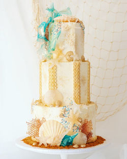 206595878_3089054664675719_3965804957690091032_n