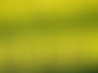 Professional Boundaries: The Foundation of a Thriving Midwifery Practice