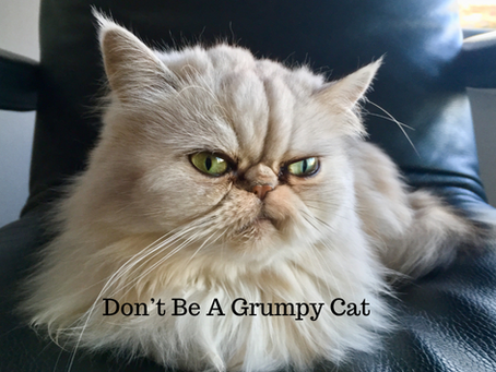 Hope and Kindness Win Over Cynicism (and how to avoid becoming a Grumpy Cat)