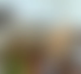 Seres Humanos y Naturaleza Canina