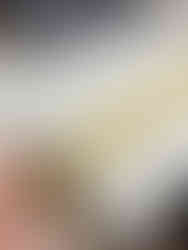 Kerstboom pizza rol school