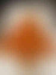 Kerstboom pizza rol school