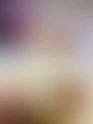 Kerstboom pizza rolletjes