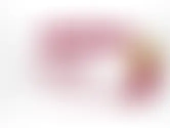ANSİAD Melek Yatırımcılık Etkinliği