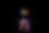 ChatGPT Image Jul 15, 2026, 02_37_20 PM.png