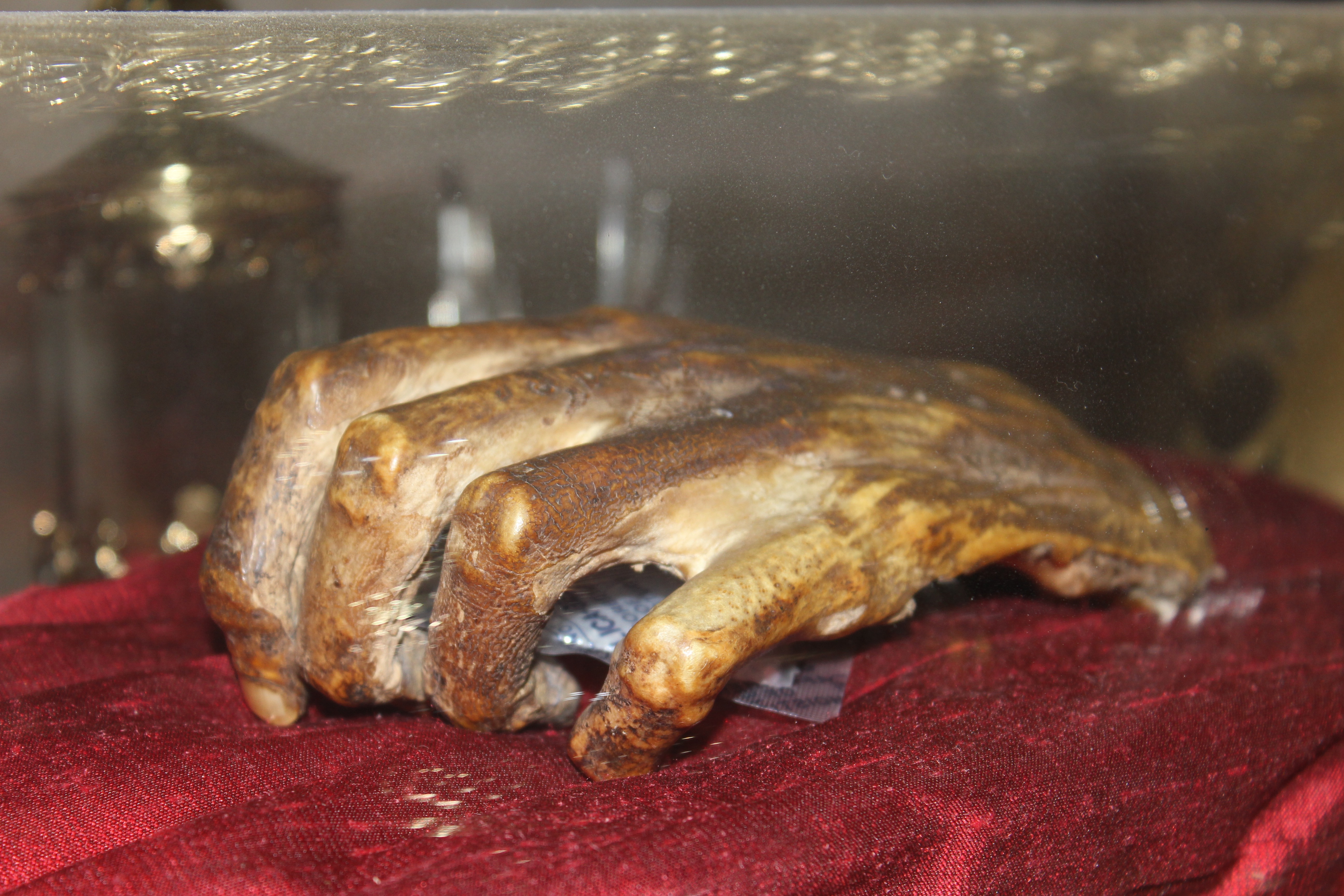 Relic of St John Kemble