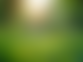 The Importance of Sustainable Living in Today's World