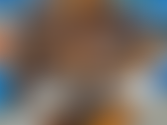 International Sandwich Day