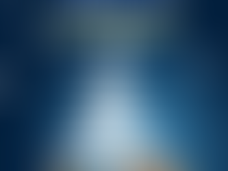 Merry Christmas & Happy New Year!