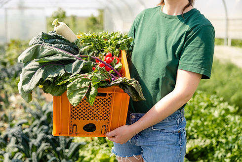 20240430_VeggieBox_(c)CarlaUlrich-2_web.jpg