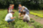 20240630_TinyFarms_Academy_BB_WE1_(c)CarlaUlrich-7.jpg