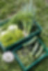 20240713_TFA_24_WE2_HH_(c)CarlaUlrich-20.jpg