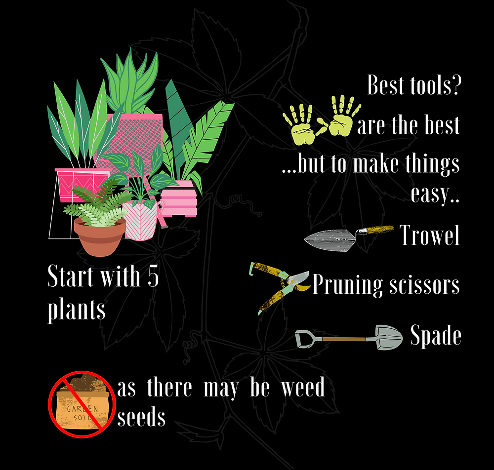 A beginner's guide to gardening