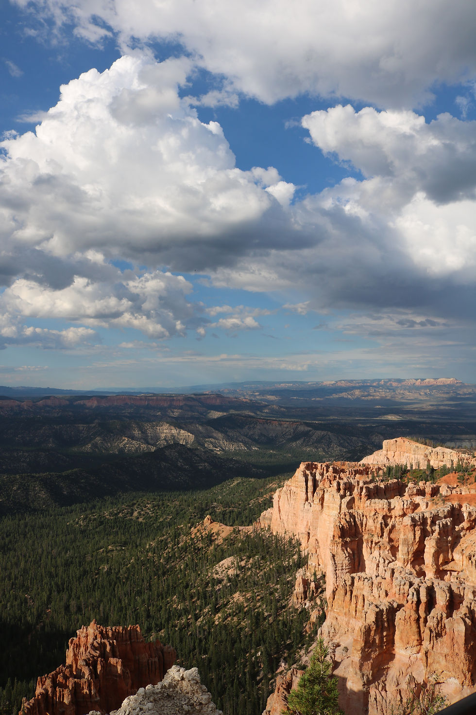 "Dear Mr. Graham..."