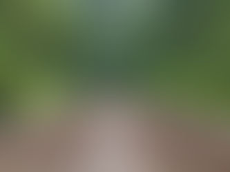 The Year That Was Different