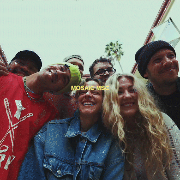 mscpromo.gif