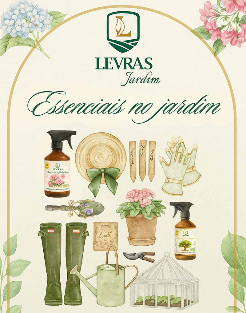 Miniatura: Enraizar e Crescer