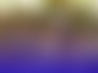 Nos activités du mois d'août chez C.U.A.ED