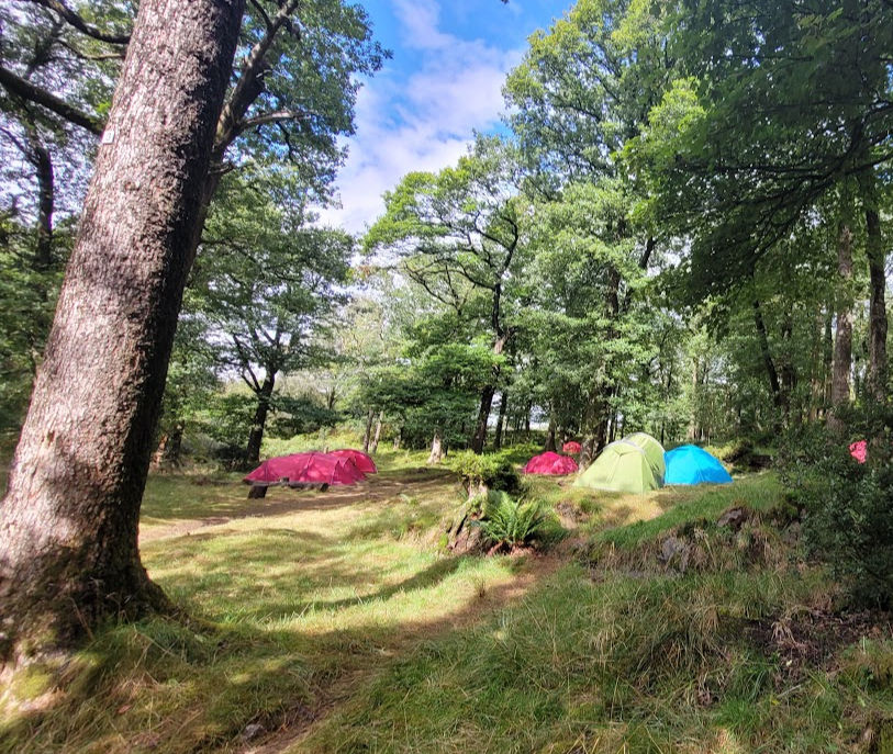 Scout Summer Week Camp