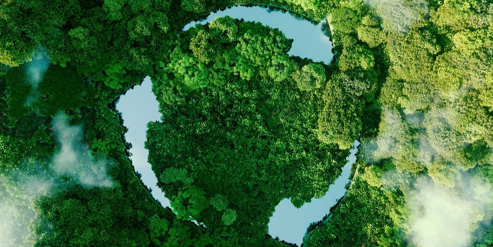 Transforming MICE: Embracing Sustainability in Event Management