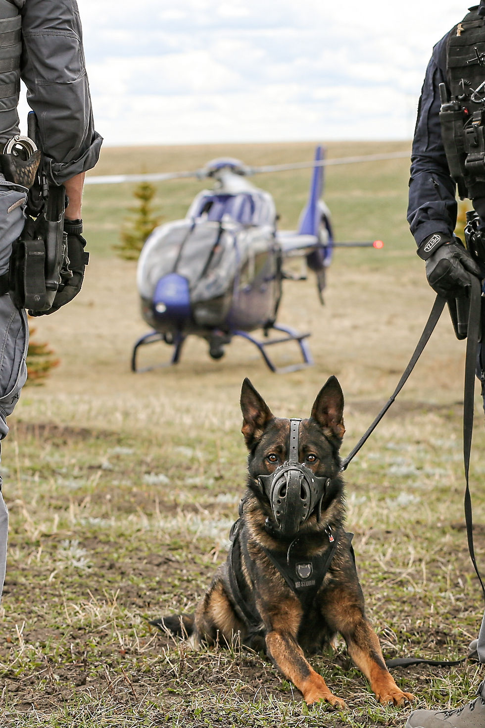 K9 Course Hawks-378 copy 2.JPG