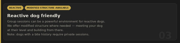 foxk9_card3_reactive.png