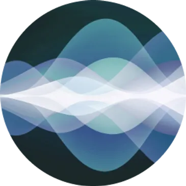 Healy 6.webp
