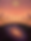 TylerShrake1.png