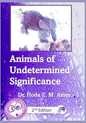 2nd Edition cover.jpg
