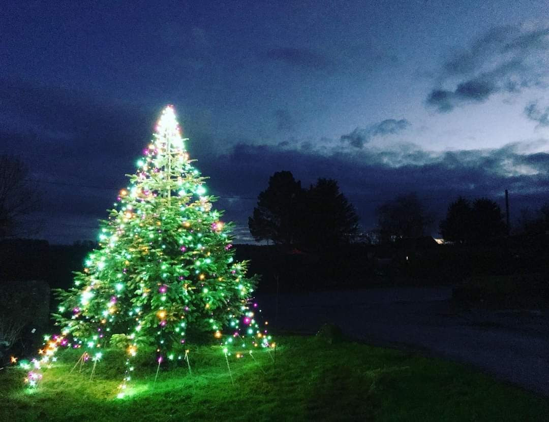 Black Shed Christmas Trees and Wreaths