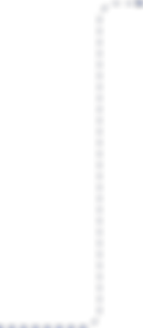 Vector 5.png