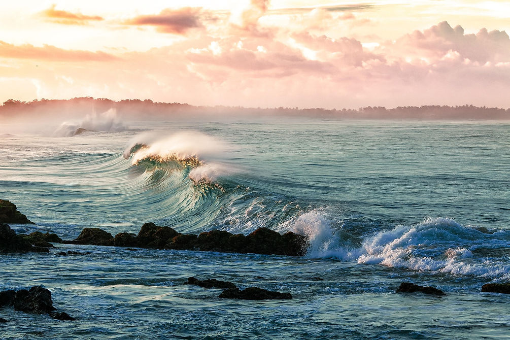Programme de la formation professionnell "devenir manager, les premiers pas" à Biarritz-Anglet-Bayonne et à distance, proposée par Successful Act