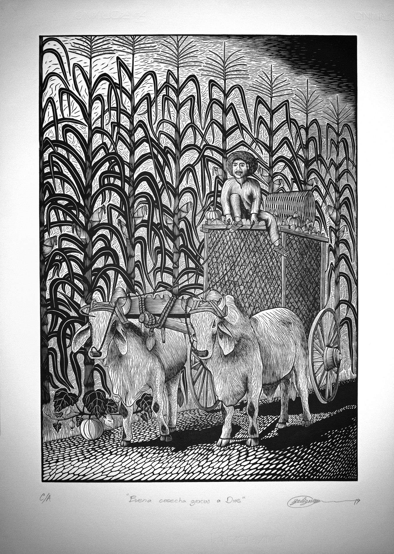 Buena Cosecha, Gracias a Dios