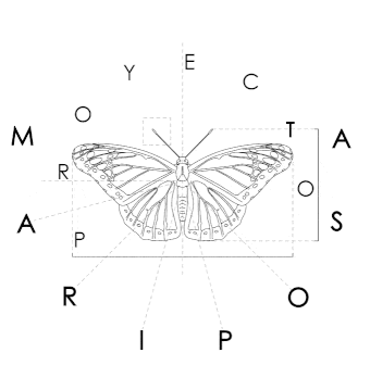 PROYECTO MARIPOSA_1.gif