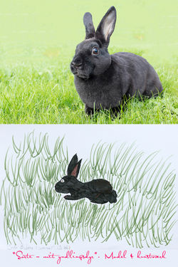 Sorte, model & kunstværk