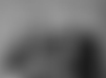 Lidt Bisbjerg historie