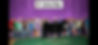 IMG_1280.jpeg