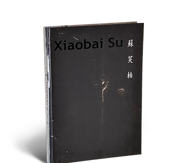 “Xiaobai Su”, 2011