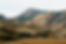 Grassy Mountains