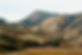 Grassy Mountains