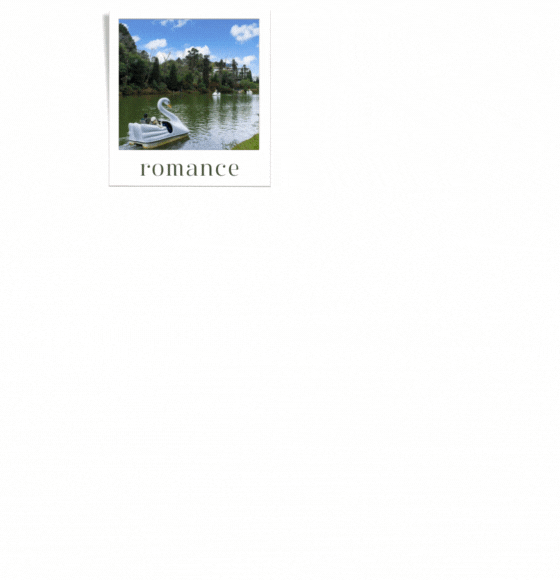 Medclean_Sobecc2022_Serra Gaucha_GIF.gif