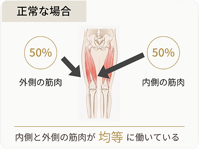 正常な場合　筋肉　源真ゴシック.png